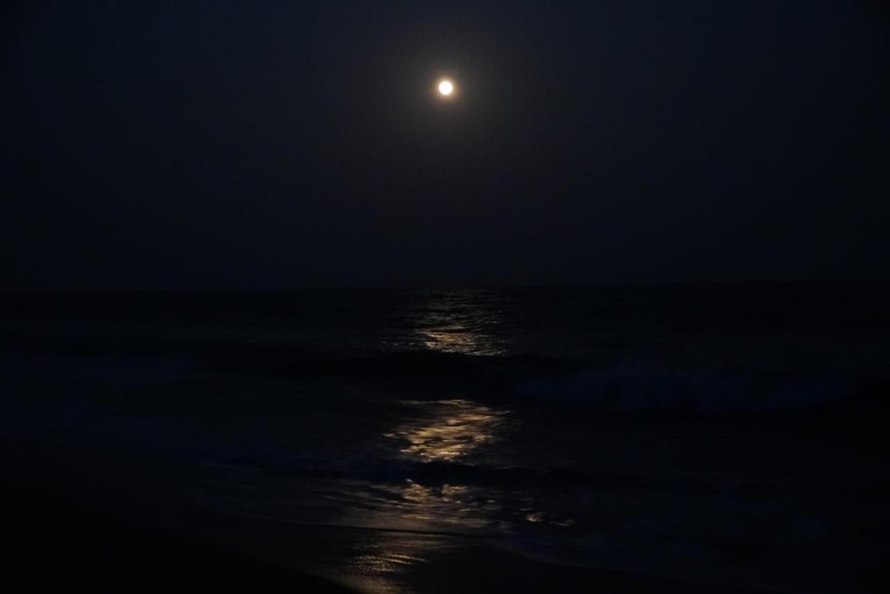 154 Pearl Beach Mahabalipuram Zewnętrze zdjęcie